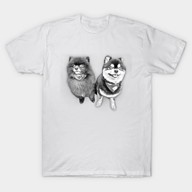 Mini Pomeranian Sketch Art Design T-Shirt by Kawaii Sketch